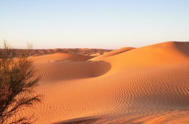 LE DUNE DEL DESERTO TUNISINO